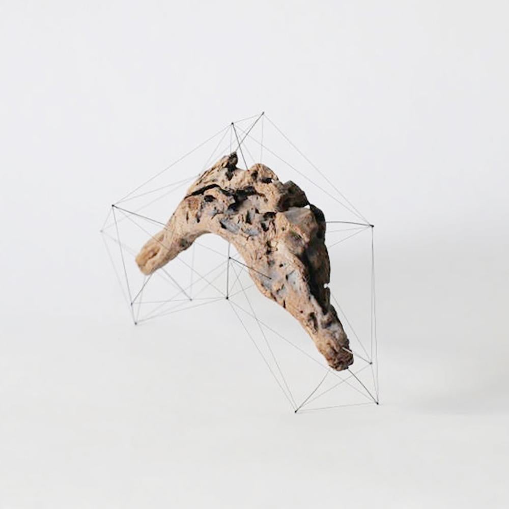 Japanese Crust of the Polygon 01 Norihiko Terayama Driftwood Sculpture