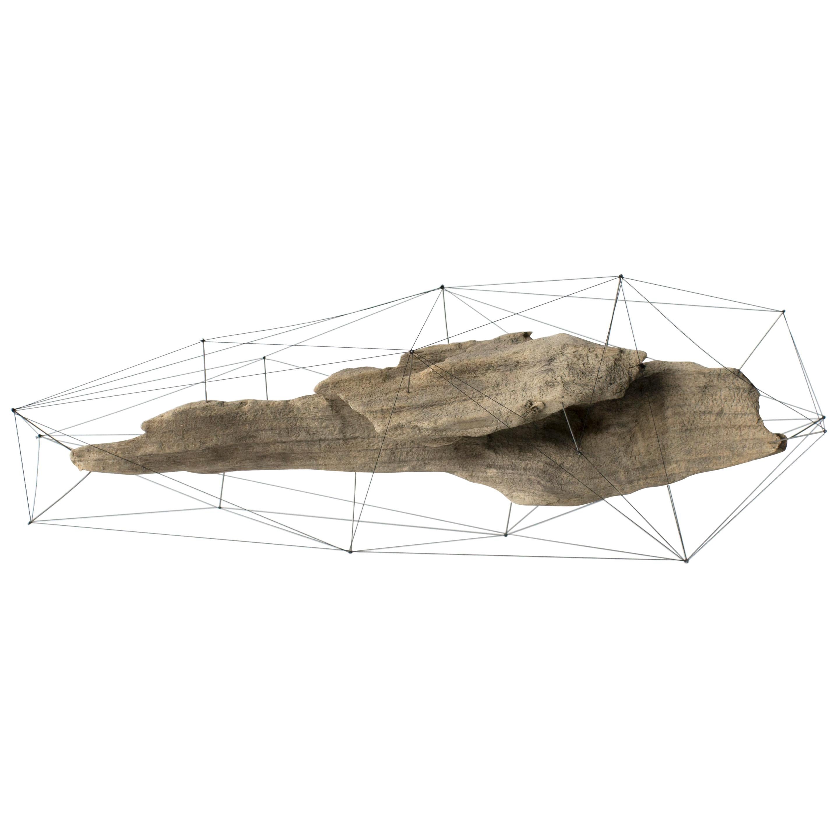 Crust of the Polygon 01 Norihiko Terayama Driftwood Sculpture