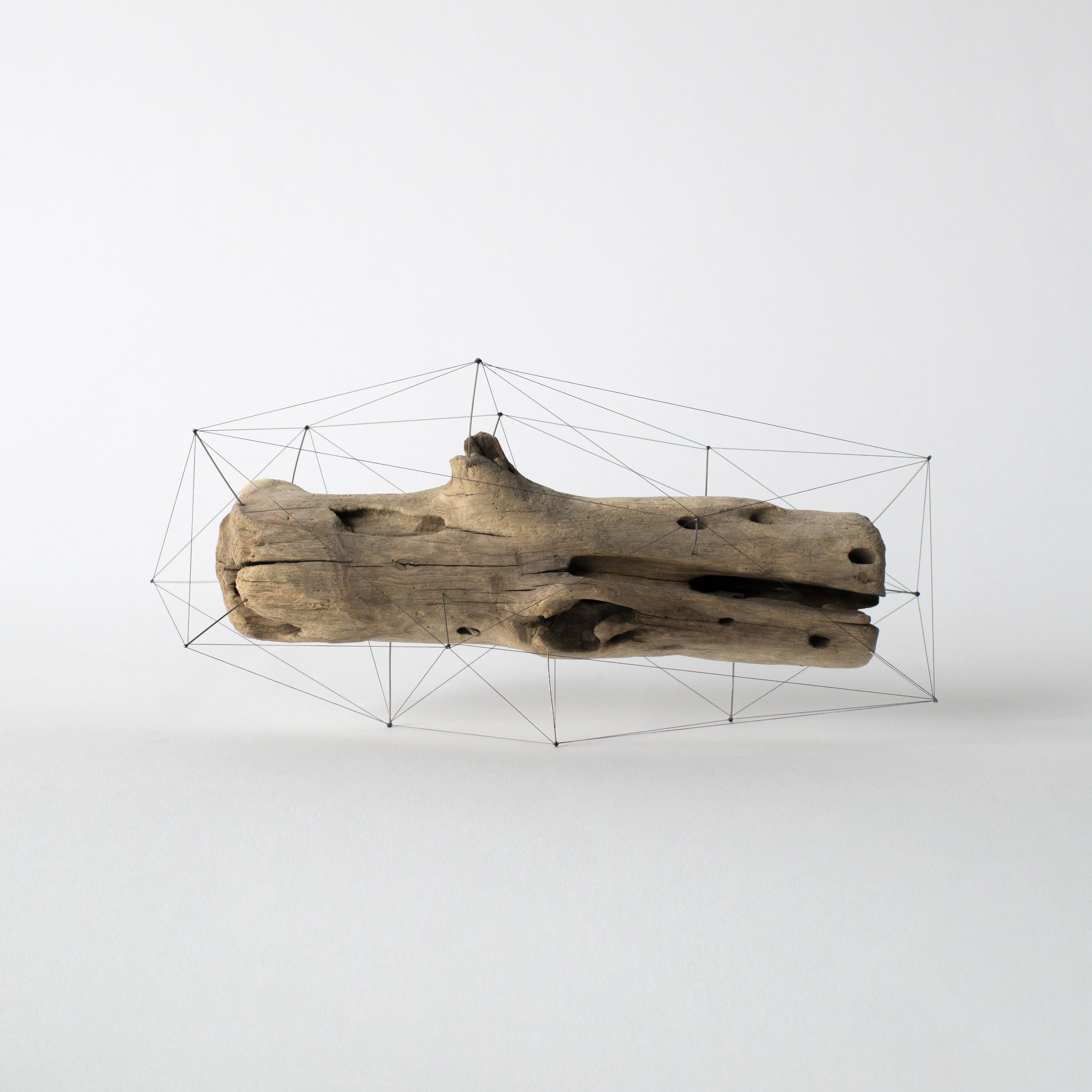 Contemporary Crust of the Polygon 02 Norihiko Terayama Driftwood Sculpture