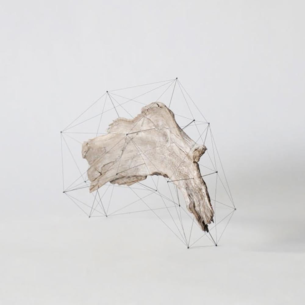 Handmade object made of drift wood, pins and threads. Pins stuck in drift wood, where their tips are tied with threads. It looks like an another crust outside the drift wood, or the three dimensional specimen.

Artist statement:
Driftwood has
