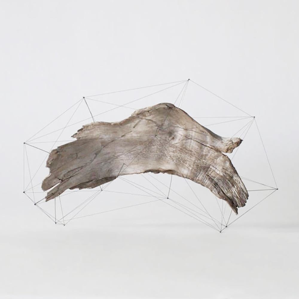 Contemporary Crust of the Polygon 03 Norihiko Terayama Driftwood Sculpture