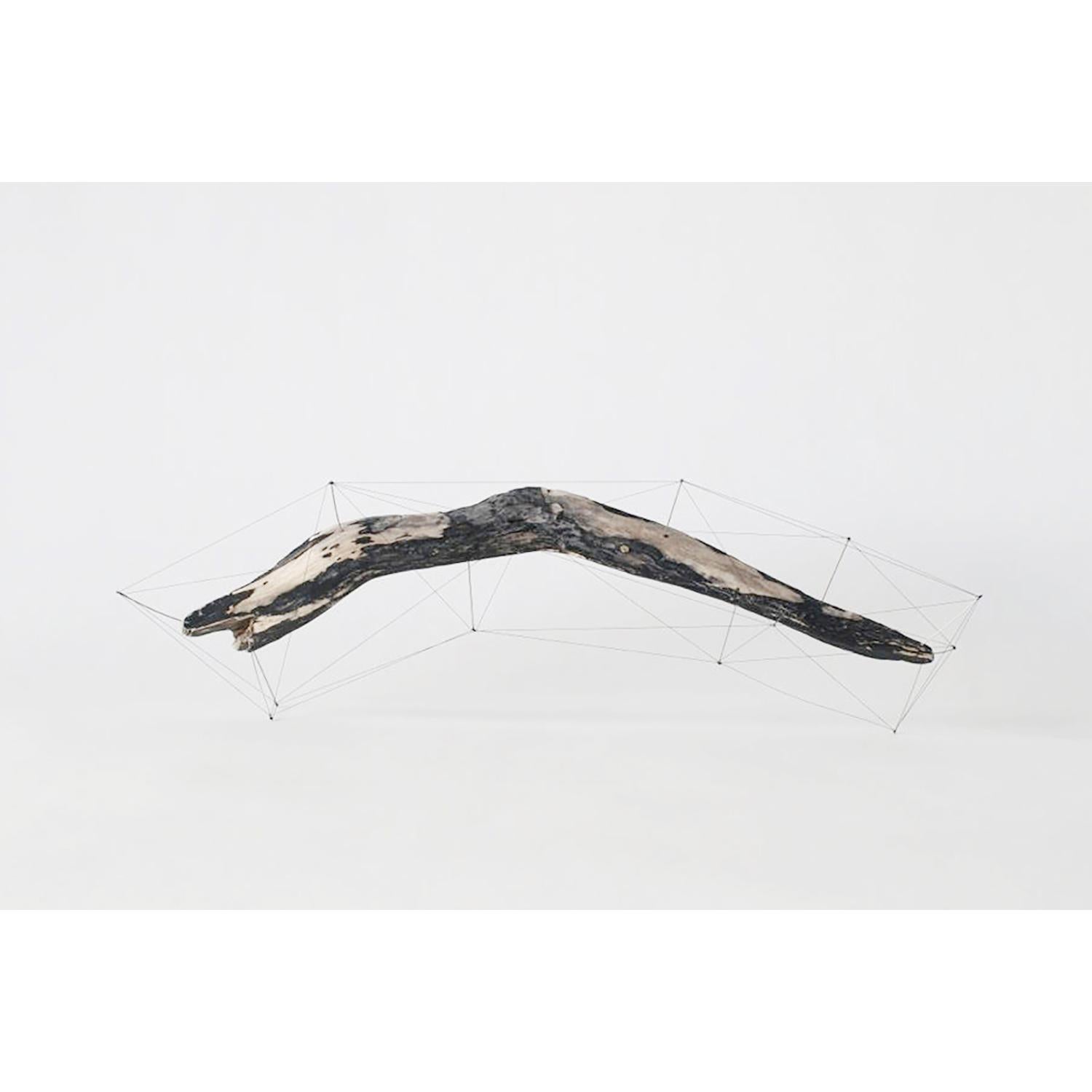 XXIe siècle et contemporain Crust of the Polygon 05 - Sculpture en bois flotté Norihiko Terayama