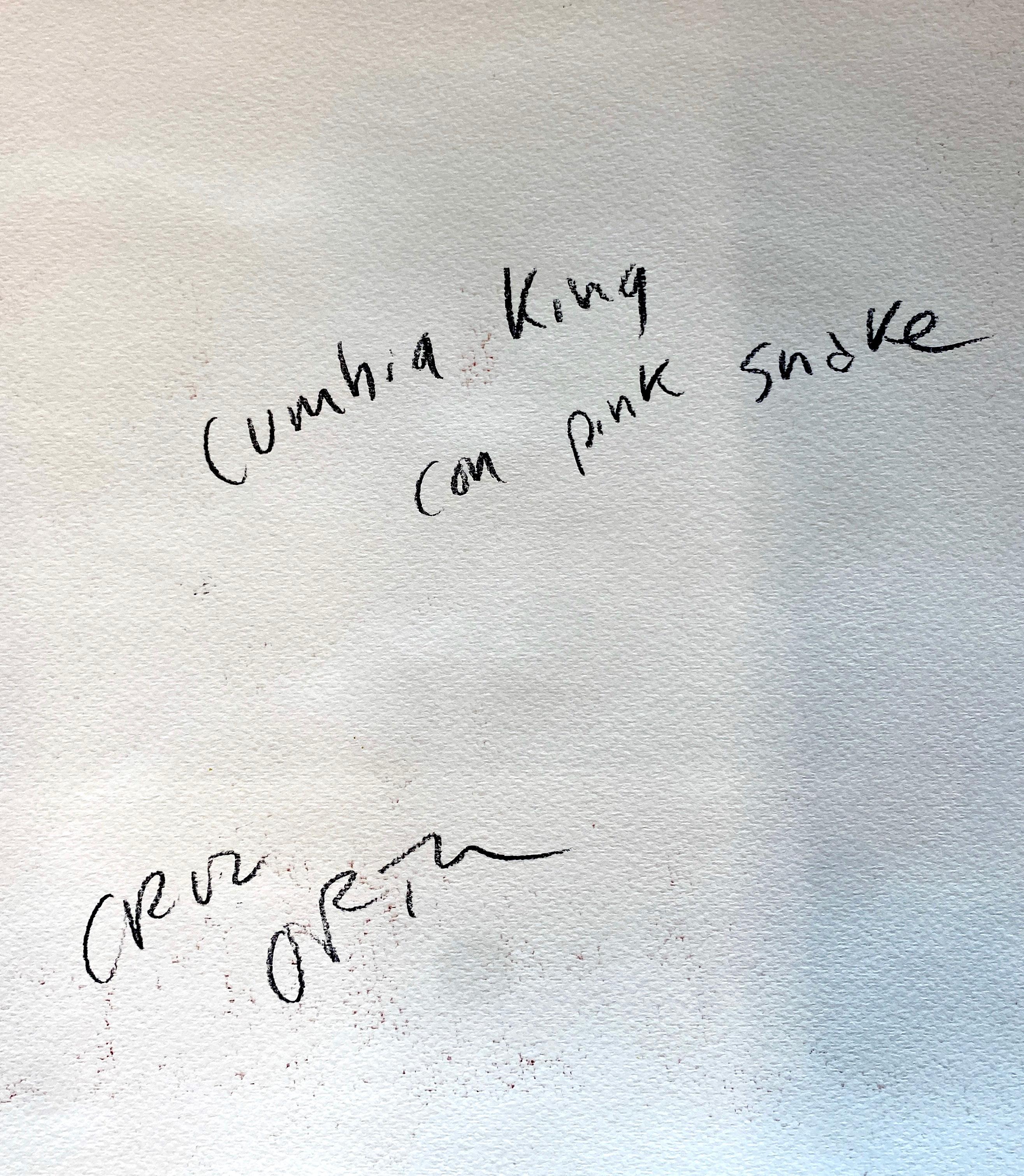 Cumbia King con Pink Snake, Pittura figurativa contemporanea, Gouache su carta in vendita 2