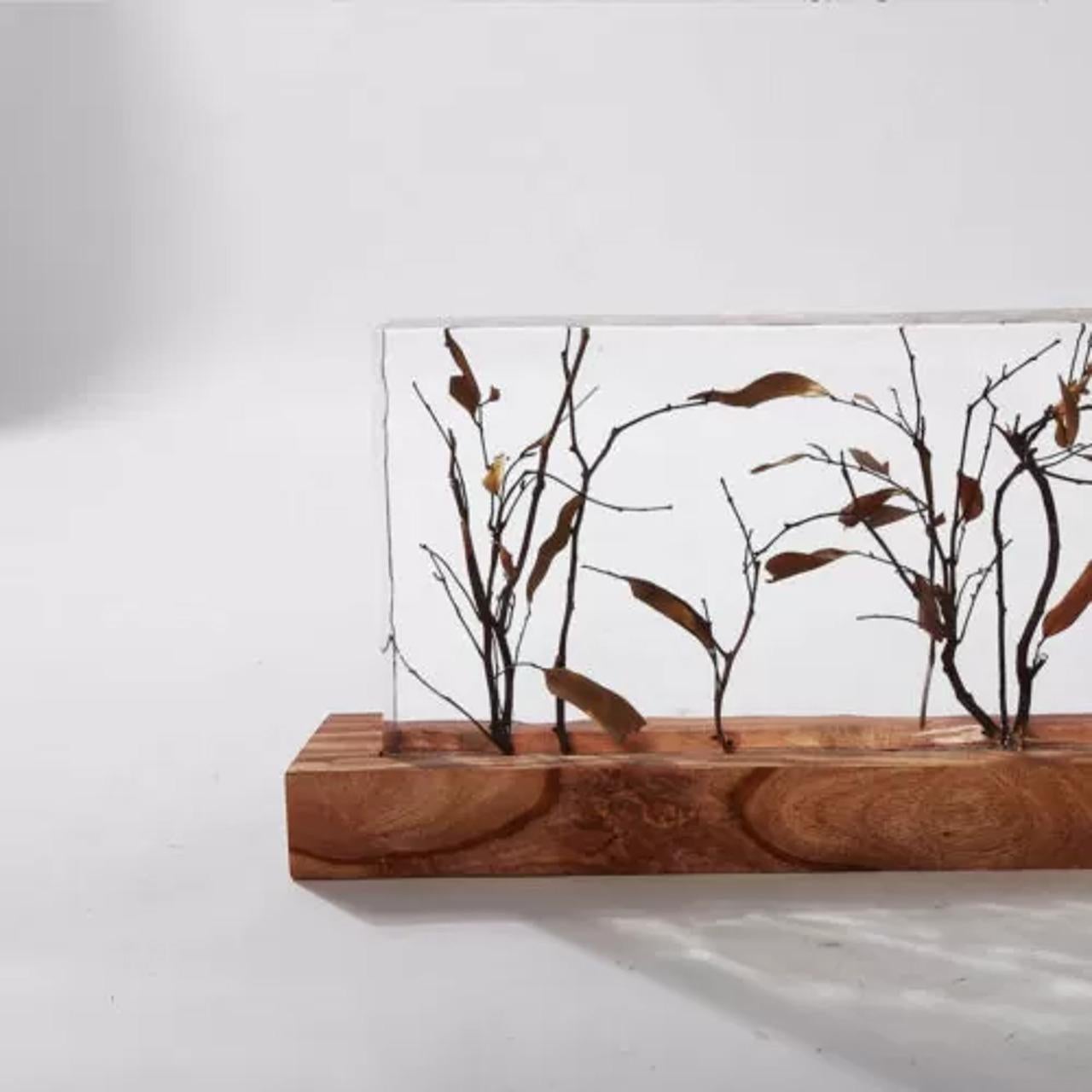 Añade un toque de naturaleza a tu casa u oficina con la Decoración de Sobremesa Cristal y Rama. Esta asombrosa pieza presenta ramas de madera orgánica envueltas en una mezcla de cristal acrílico transparente, que aporta una estética relajante