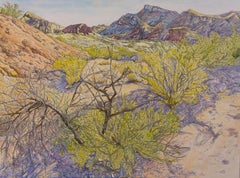 Desert Wash, Original Painting