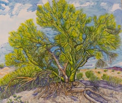 Palo Verde, dipinto originale