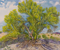 Palo Verde, Original Painting