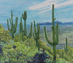 Sentinels Sonoran, peinture d'origine