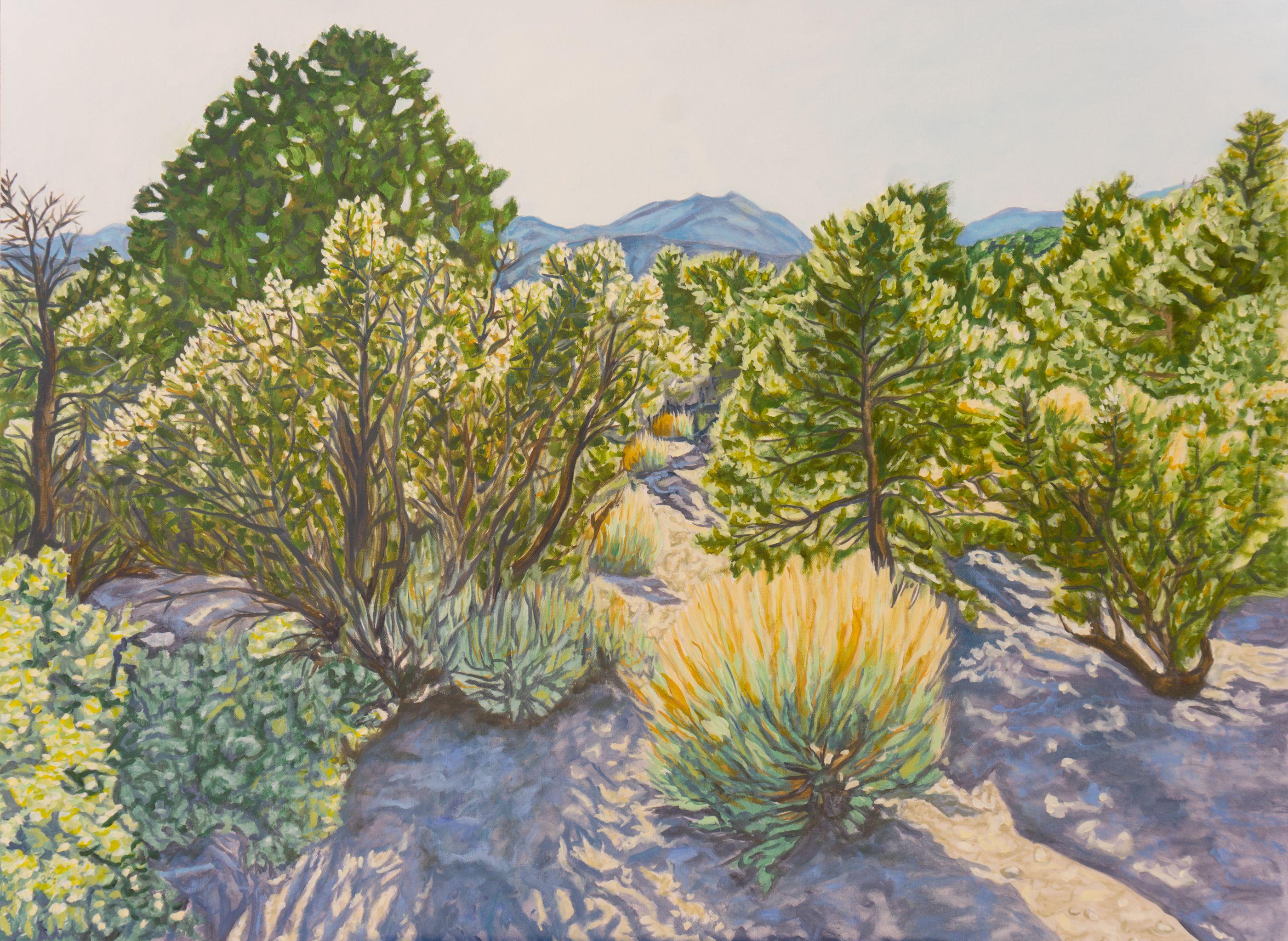 Landscape Painting de Crystal DiPietro - Tarde en el campamento de los piñones, Pintura, Óleo sobre lienzo