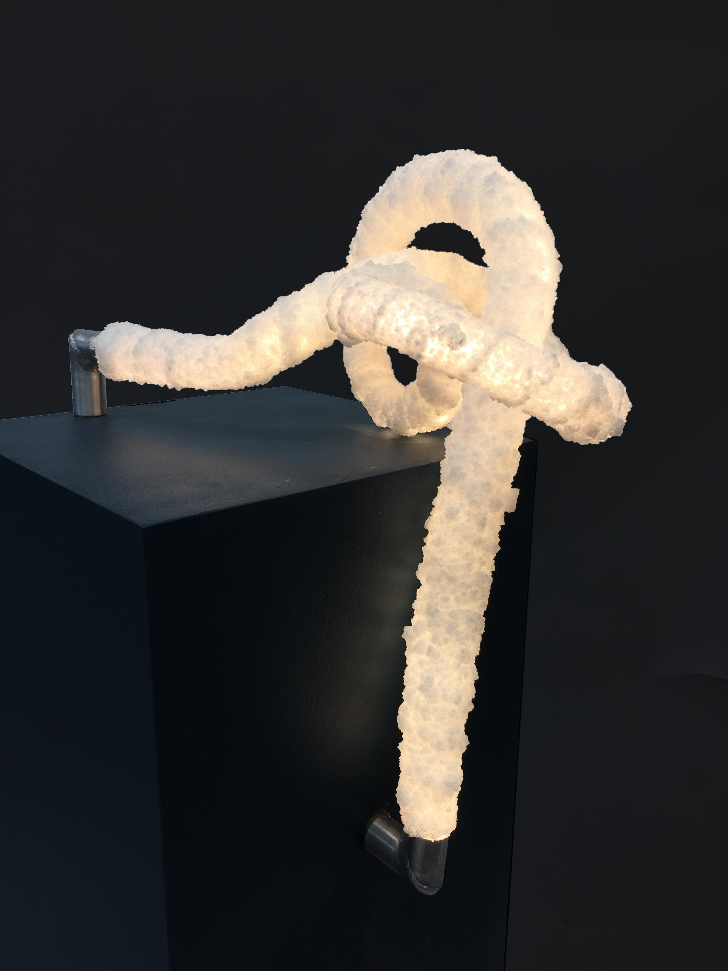 The Crystal Knot is a light object. The shape of the light object is inspired by the biological phenomenon of protein folding. With this project, I continue my research for the boundaries of art and sciences and where these two subjects can possibly