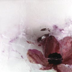 give us our dream: part one, 'anemone five'