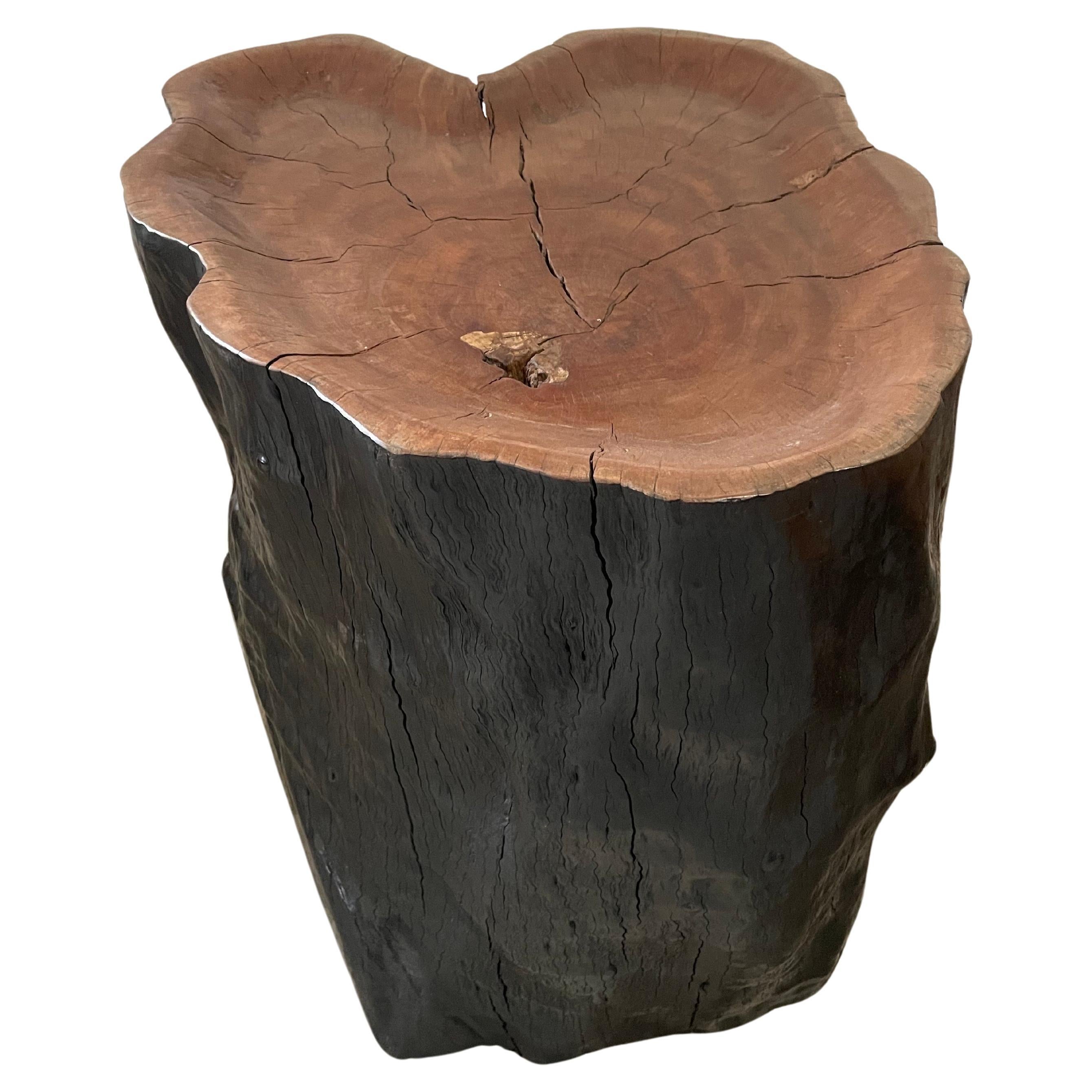 Crystal Nichols Lychee Wood Stump Side Table For Sale