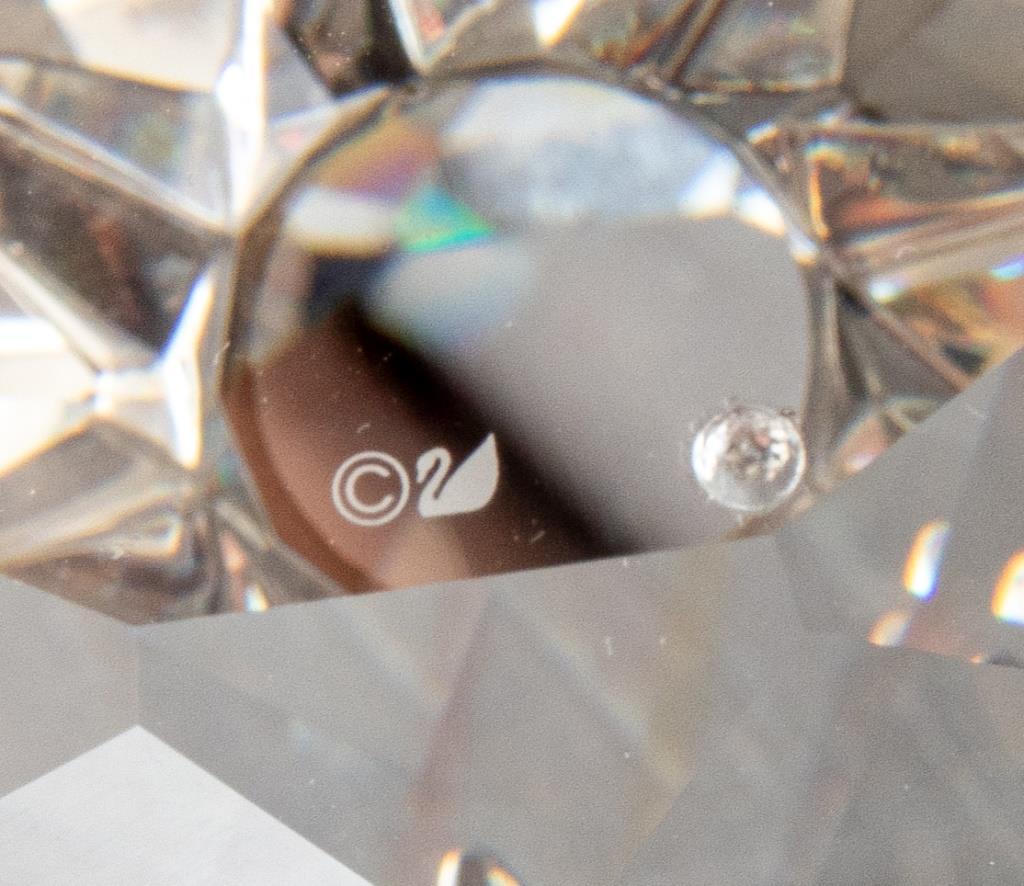 Crystal Pineapple With Silvered Leaves 5