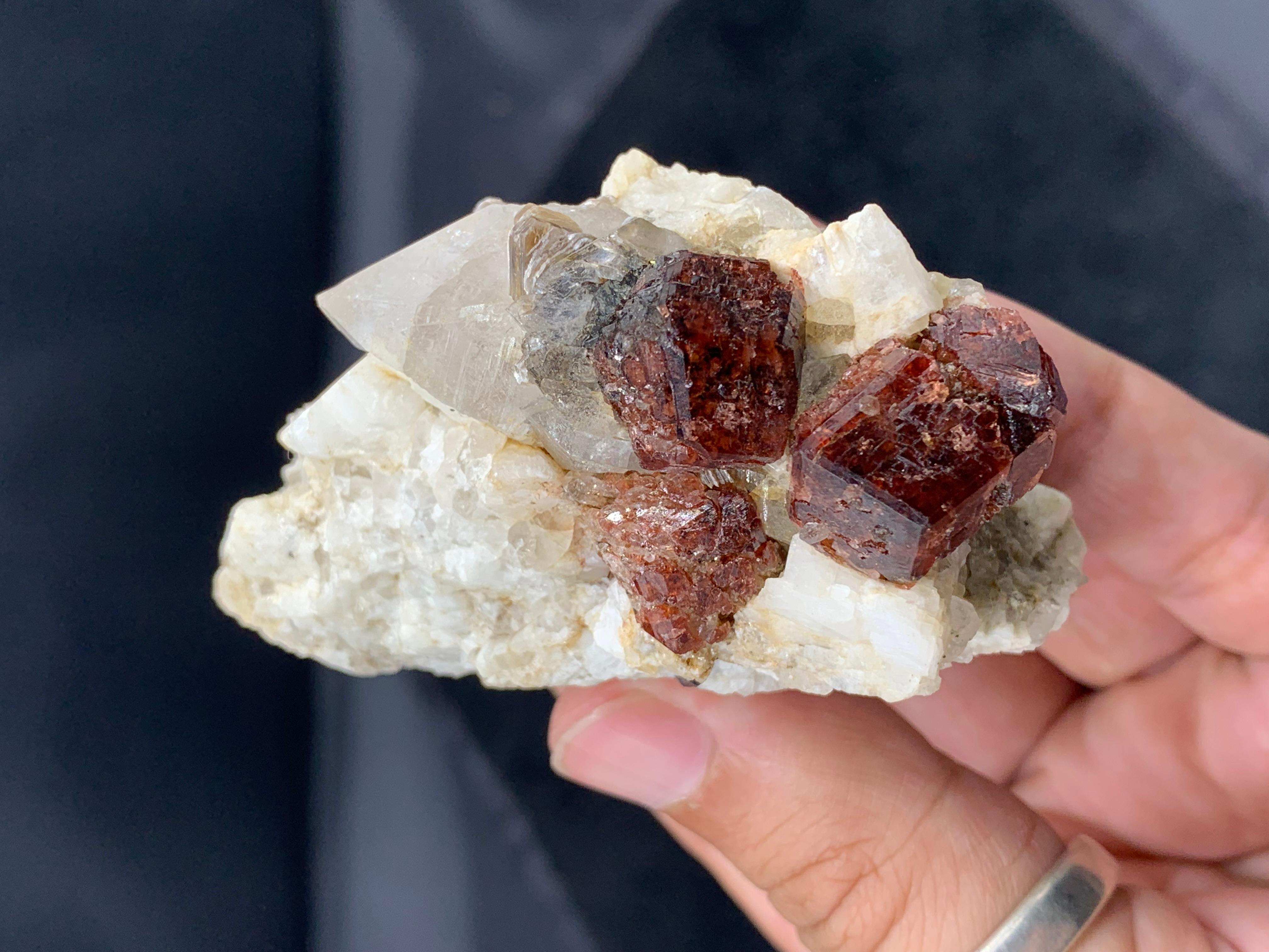 Product Information: 
Specimen: Trio of Spessartite Garnet crystals on Albite matrix
Weight: 188 grams
Dimensions: H: 7.5 x W: 5.8 x D: 4.5 cm
Origin: Skardu District, Gilgit Baltistan, Pakistan
Treatment: None
.
Spessartite Garnet is the vibrant