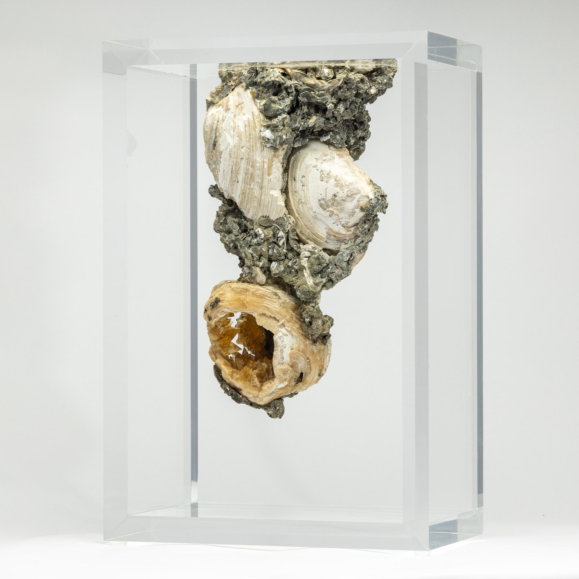 Rock in a Box è un progetto originale di Ernesto Duran che celebra tre aspetti chiave dell'esposizione di minerali e fossili. Innanzitutto, crea un punto di fuga che esalta la bellezza naturale del pezzo. In secondo luogo, mette in mostra il fossile