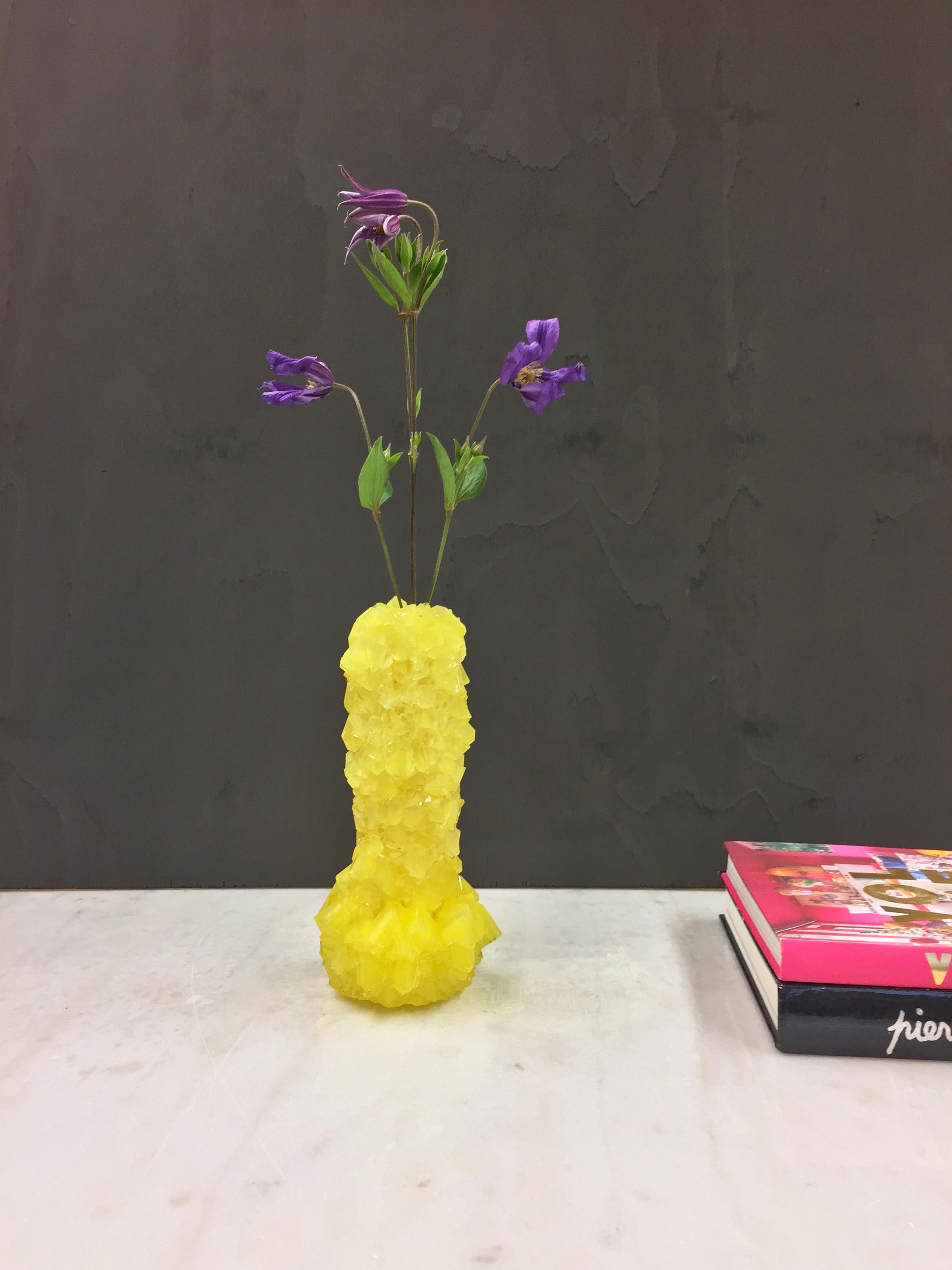 Crystallized vase. 
 
Measures: Height 26 cm
Diameter 10 cm
Weight 17 kg.

The ‘Crystal’ series is the result of research into stalagmites, one of the greatest wonders of nature. The growing process of the objects can be seen as a metaphor for