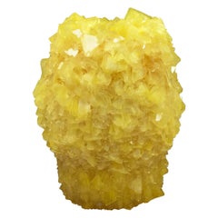 Crystallized Yellow Vase, Unique Vase by Isaac Monte