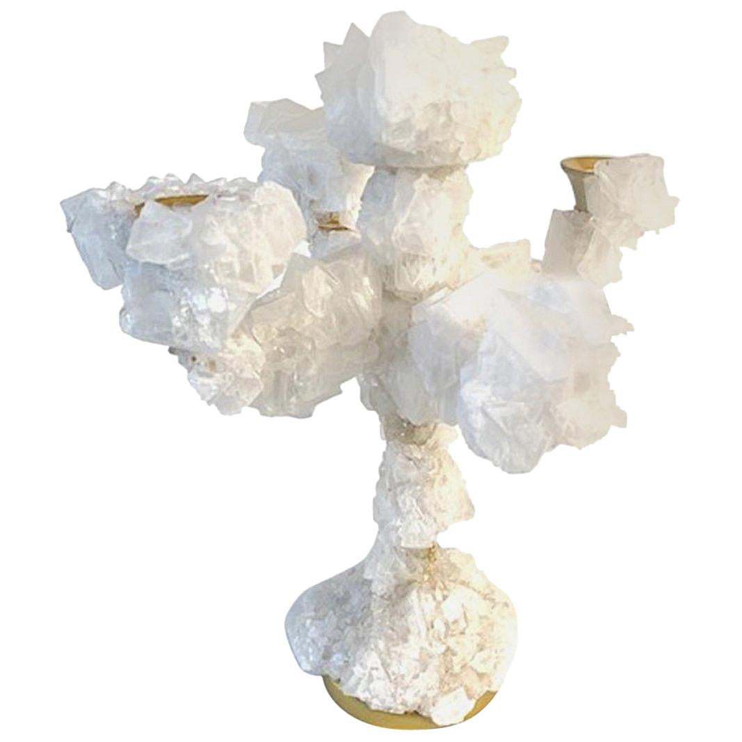 Crystals Overgrown Candelabra, Mark Sturkenboom For Sale