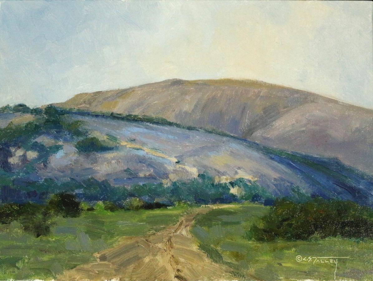 C.S. STEVE TALLEY Landscape Painting - "ENCHANTED ROCK" FREDERICKSBURG TEXAS HILL COUNTRY