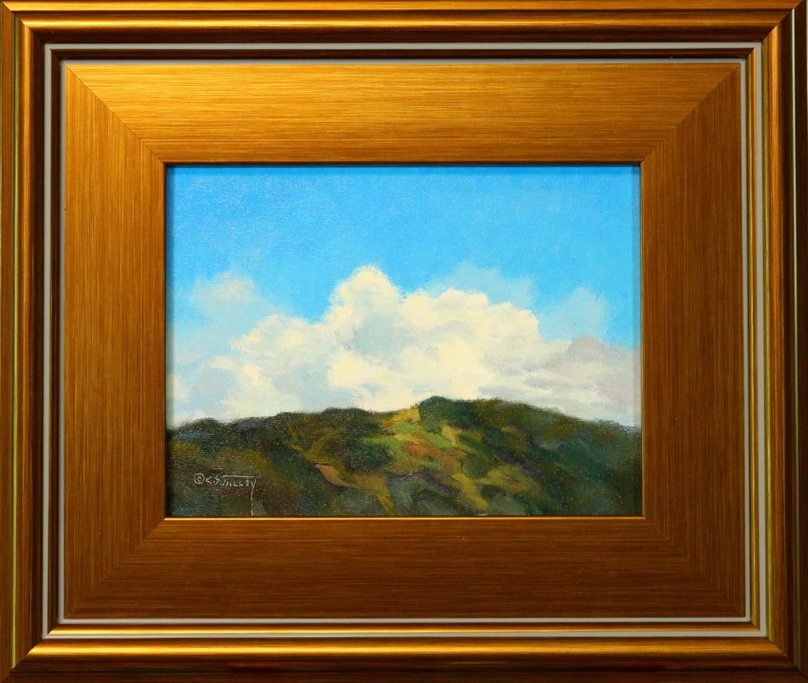 "UP AND COMING" C.S. STEVE TALLEY PAISAJE