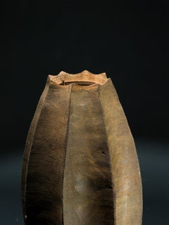 Vaso ottagonale Ctenophora