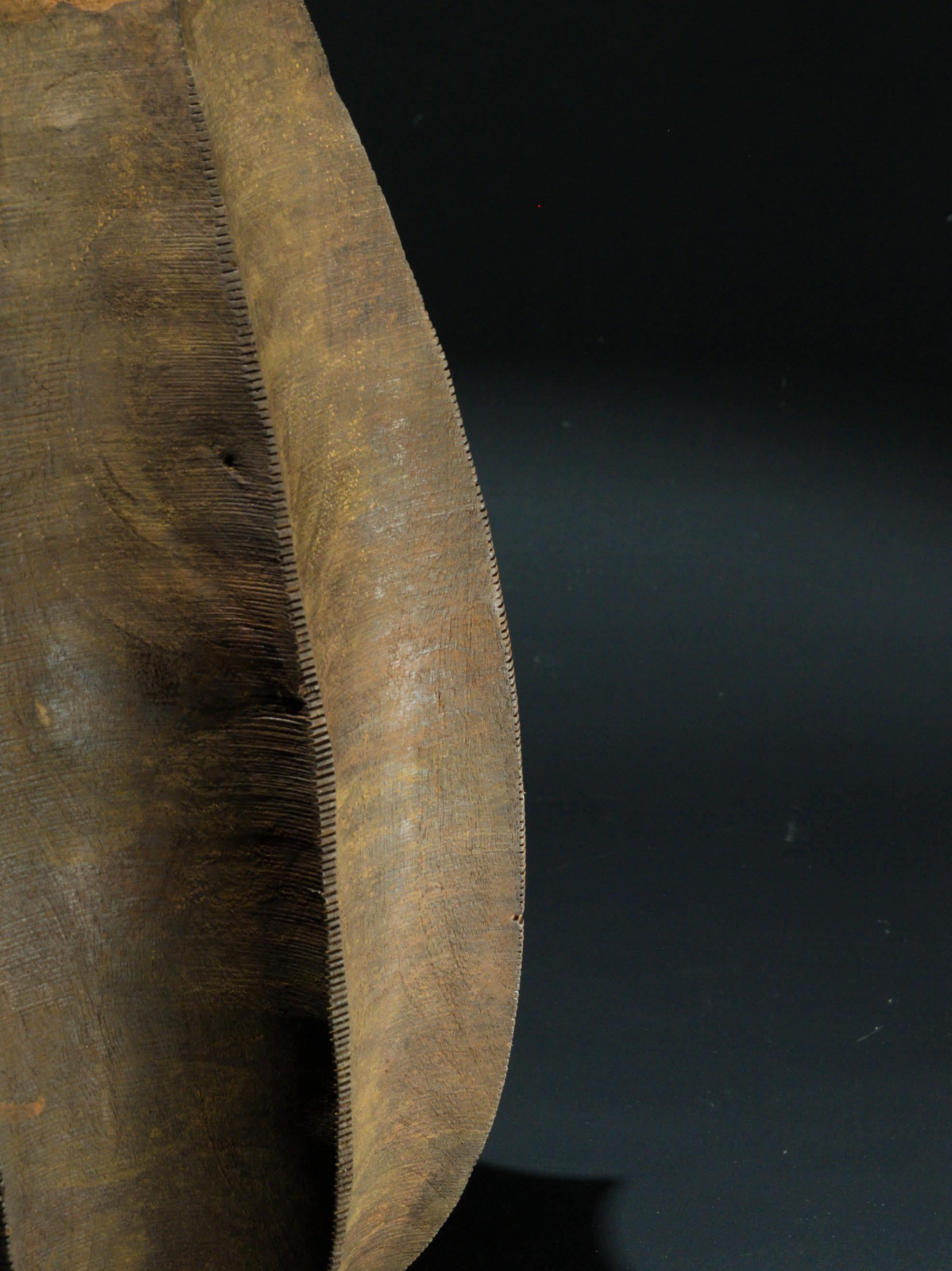 Vaso octogonal Ctenophora Artes y manualidades en venta