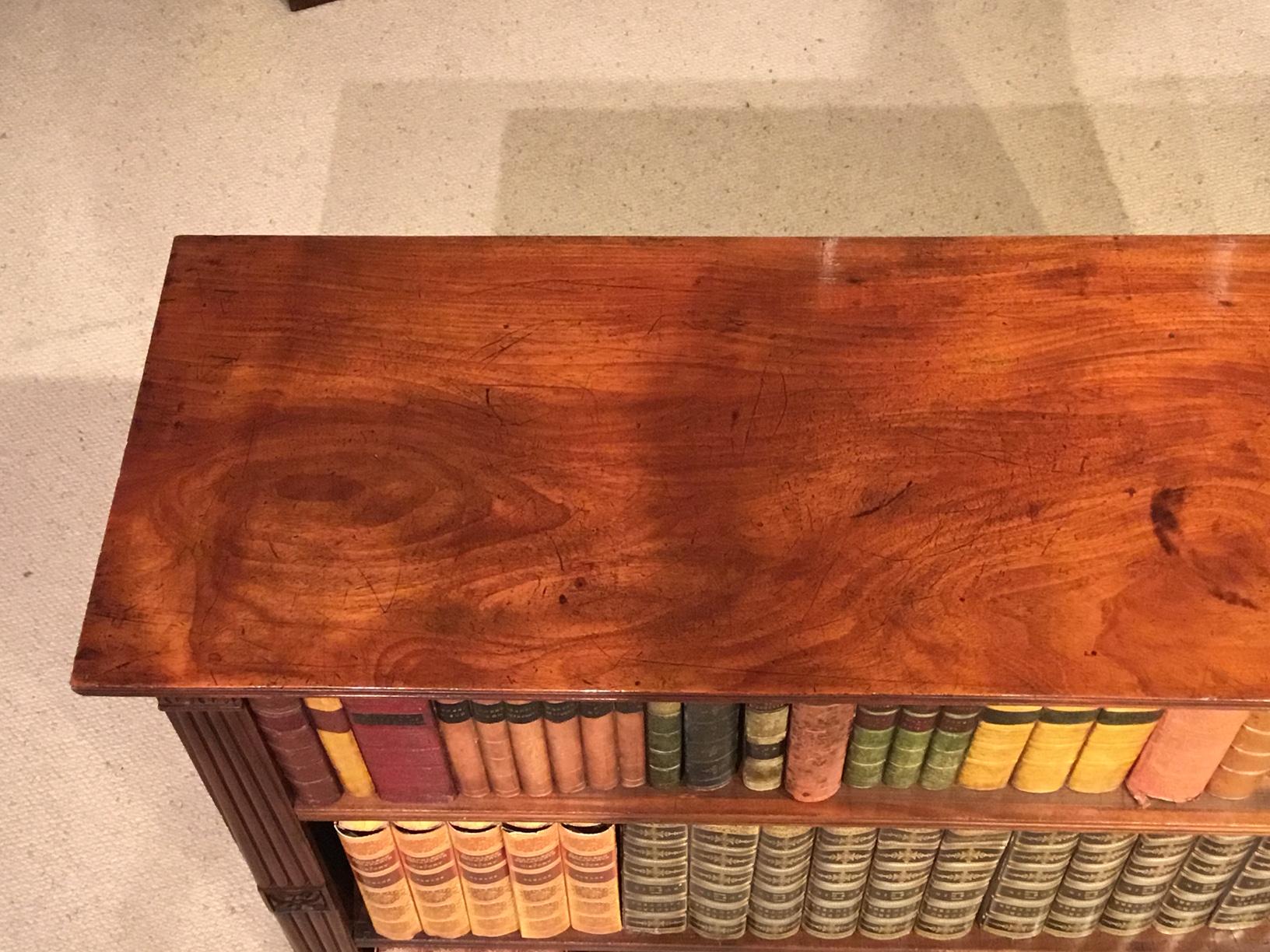 Cuban Mahogany Regency Period Antique Open Bookcase im Zustand „Gut“ in Darwen, GB