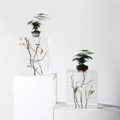 Cubic Crystal Pedestal - Luxury Crystal Acrylic Pedestal - Natural Wood Branches