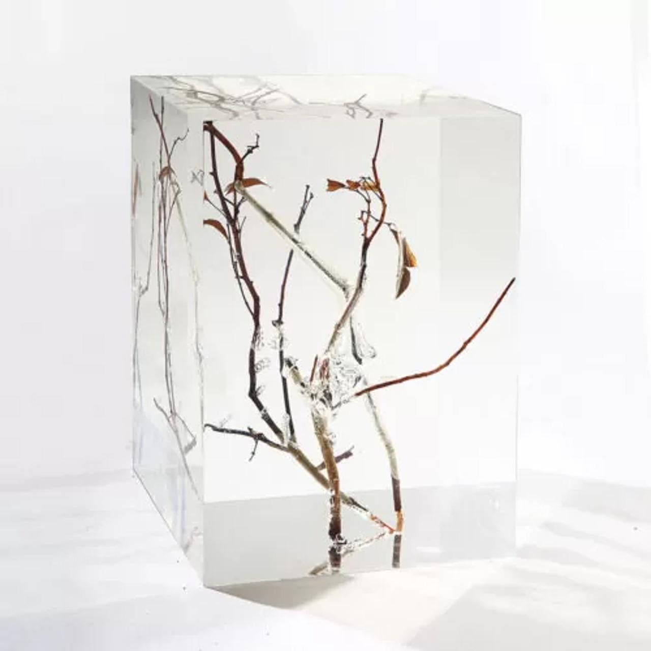 Pedestal expositor de cristal transparente con ramas de madera - Elegancia artística Art Decó en venta