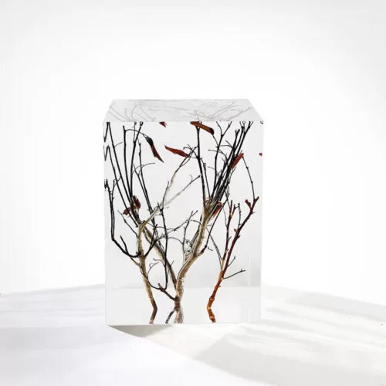 Pedestal expositor de cristal transparente con ramas de madera - Elegancia artística Estadounidense en venta