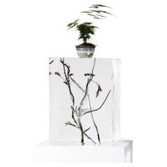 Pedestal expositor de cristal transparente con ramas de madera - Elegancia artística