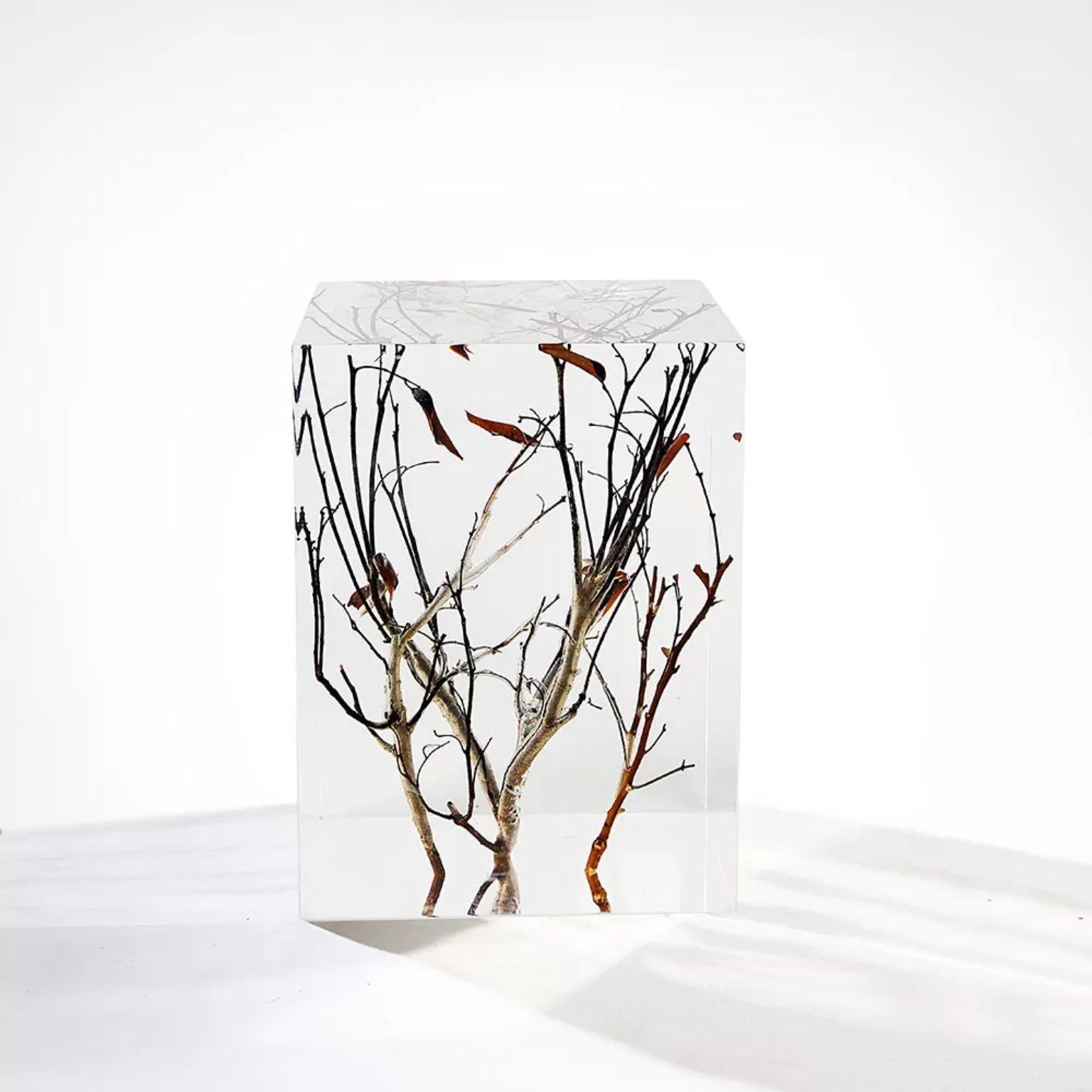 Cubic Crystal Pedestal by Dainte
Dimensions: D 28 x W 29 x H 38 cm.
Materials: Crystal. 

This clear crystal display pedestal is finely crafted and visually stunning. Made of crystal mixed with acrylic and natural wooden branches, the unique
