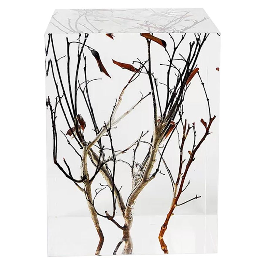 Cubic Crystal Pedestal by Dainte