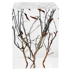 Cubic Crystal Pedestal by Dainte