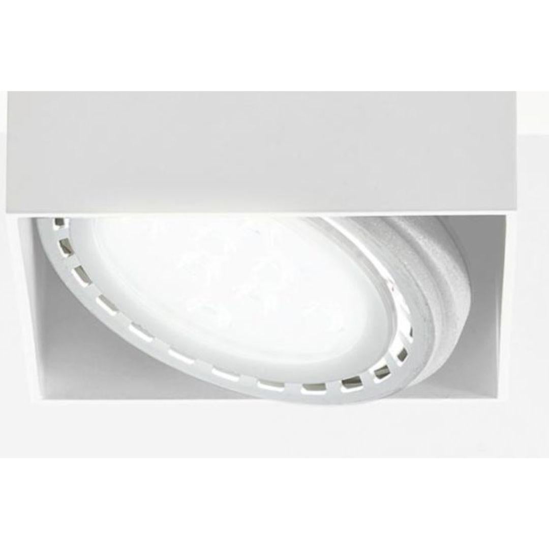 Italian Cubo Ceiling Lamp for Nemo For Sale