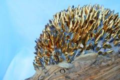 Cucciolo di cinghiale  xl vernice oro attribuita a Emilia Palomba - Sardine