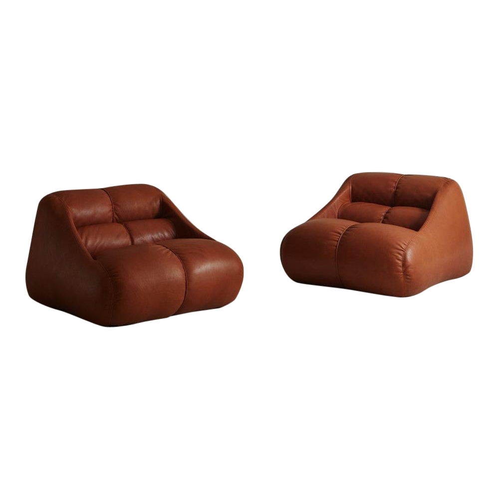 Cuingam Lounge Chairs by De Pas, D’urbino + Lomazzi for Bbb Bonacina, 1976