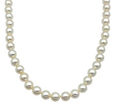 Cultured Akoya Pearl 24" Necklace with 14 Karat Yellow Gold Diamond Bow Clasp