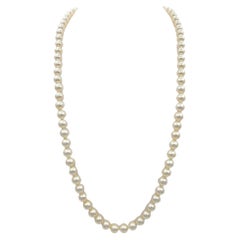 Cultured Akoya Pearl 24" Necklace with 14 Karat Yellow Gold Diamond Bow Clasp