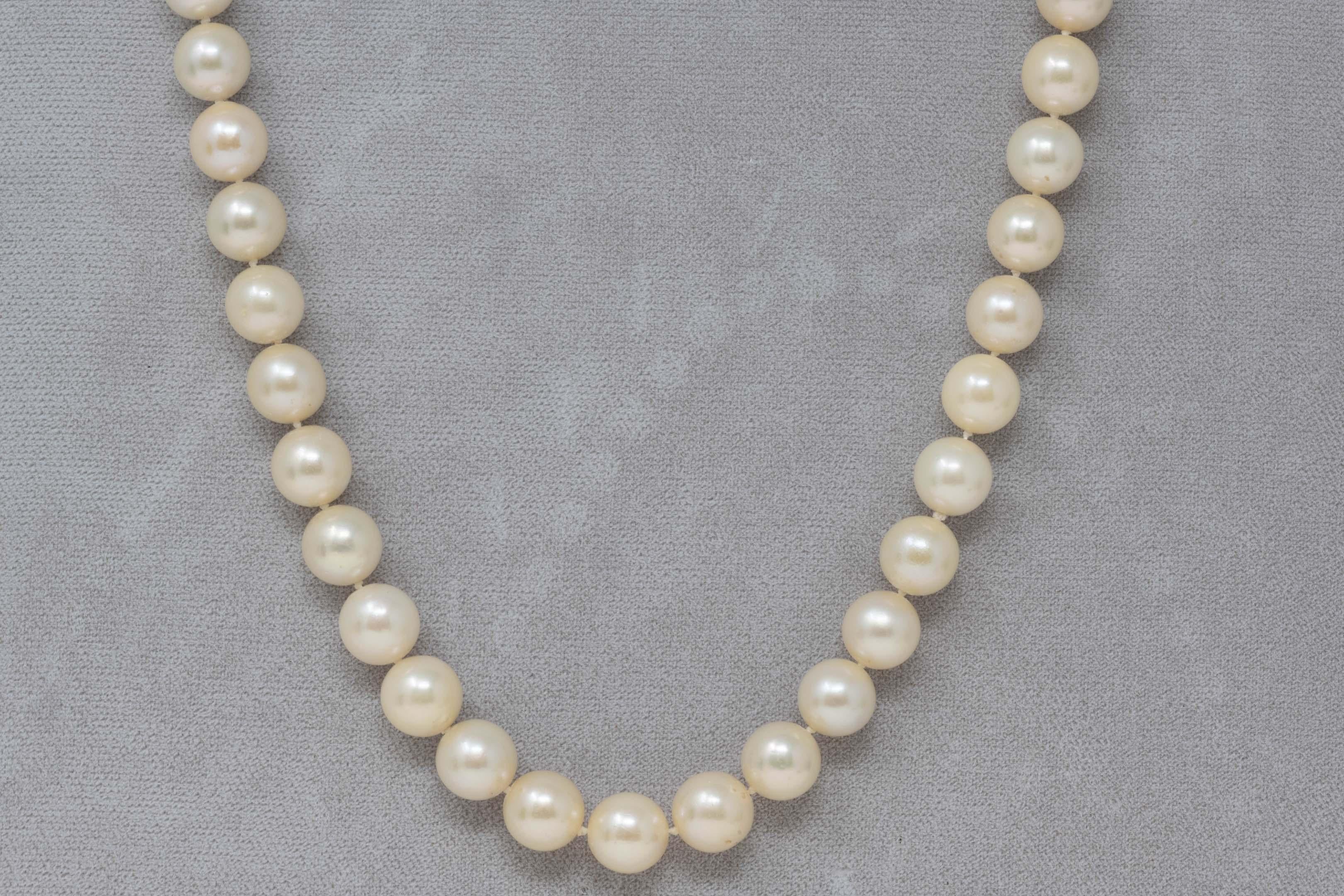 One (1) necklace made out of forty one (41) round/almost round cultured Akoya pearls. Uniform with pearls of 9.50-10.00 mm in diameter, measuring 16 inches. Primary color: cream. Overtones: green and pink. Luster and orient: medium. Surface quality:
