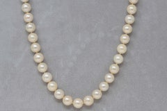Cultured Akoya Pearl Necklace