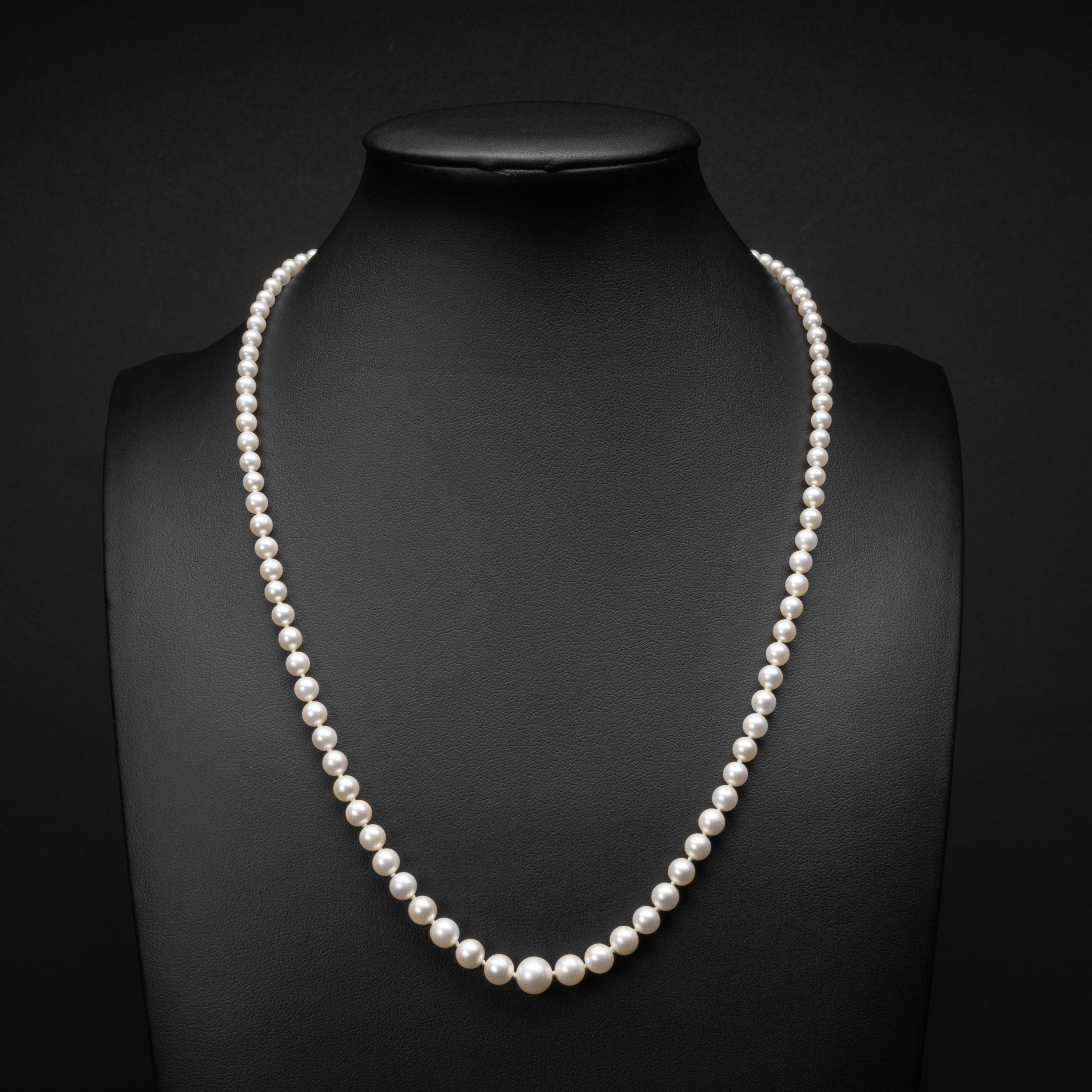 Modern Cultured Akoya Pearl Necklace 