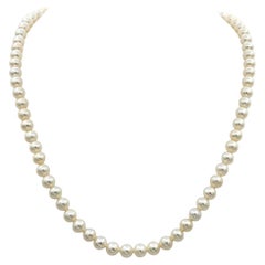 Cultured Freshwater Pearl 18" Strand Necklace with Bow Clasp in 14 Karat Gold