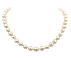 Cultured Freshwater Pearl Choker Necklace with Diamond Clasp in 14 Karat Gold
