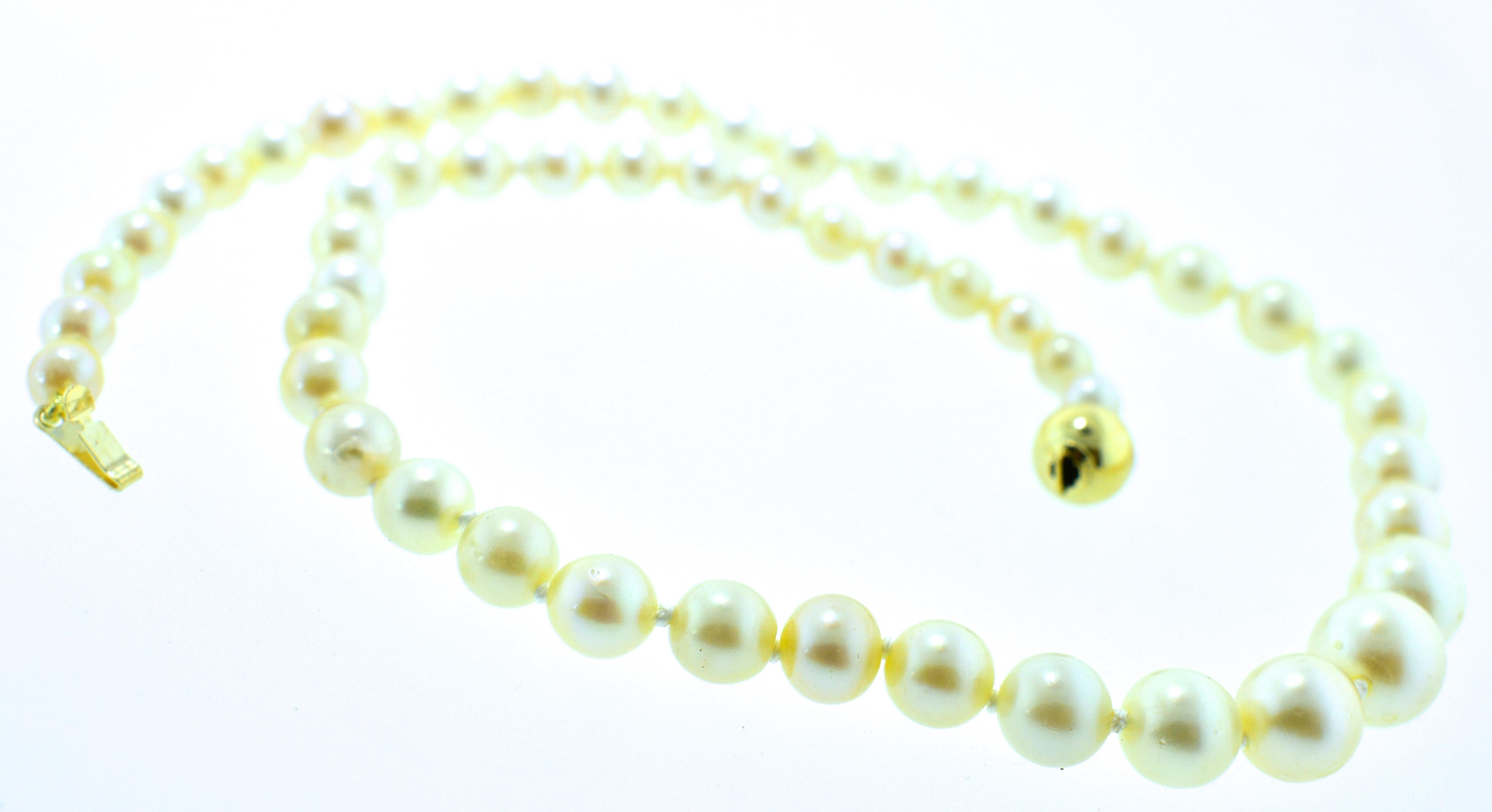 This strand is 16 inches long, finished with a yellow gold clasp.  The 54 matching salt water, round pearls possess fine luster, even skins, round, and a deep nacre.  They are slightly graduated and range in size from 5.25 mm. up to 9.37 mm.  These
