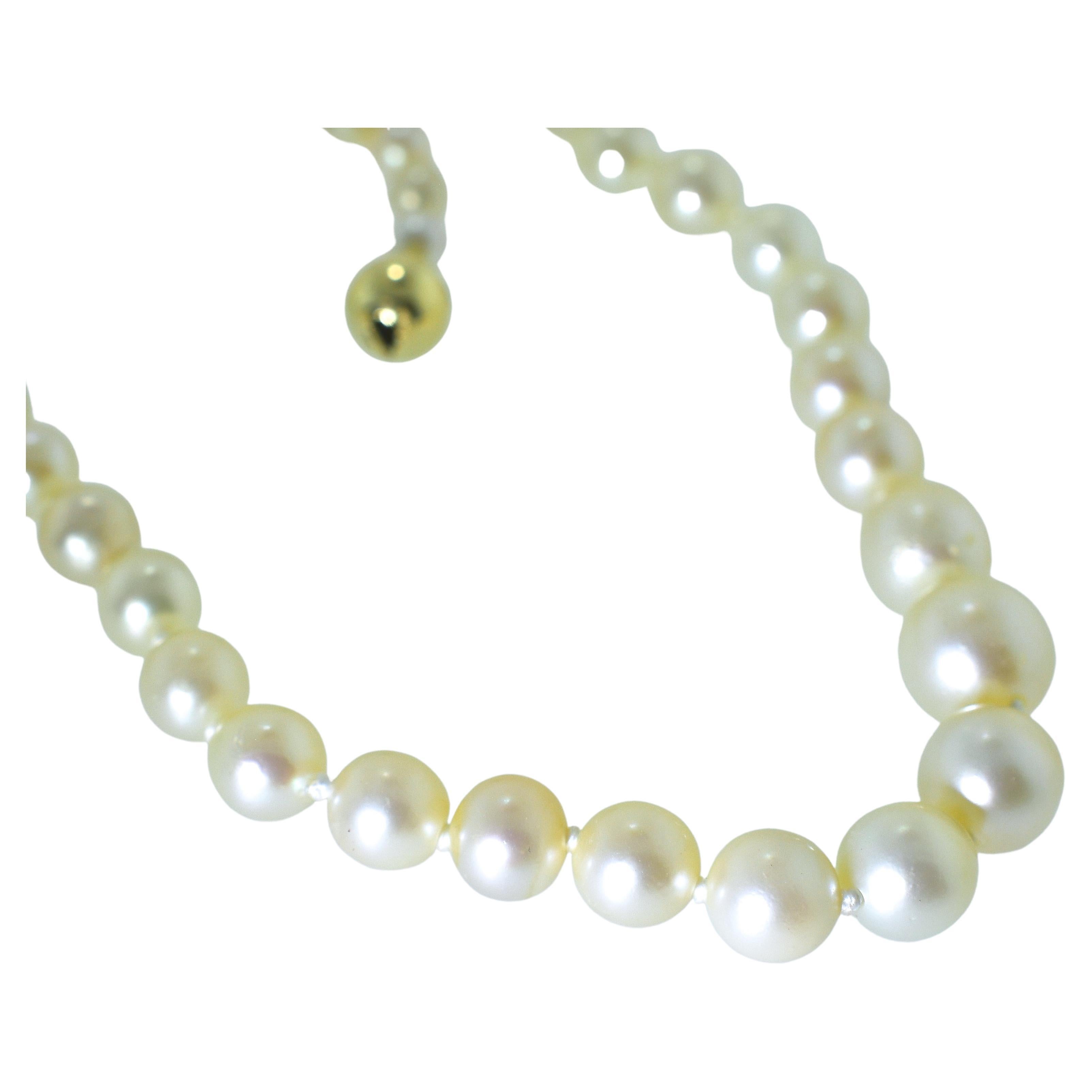 Grandes perles de culture japonaises rondes finies avec un fermoir à boule en or jaune