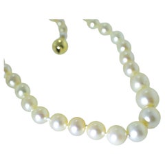 Cultured Japanese Large Round Pearls Finished with a Yellow Gold Ball Clasp