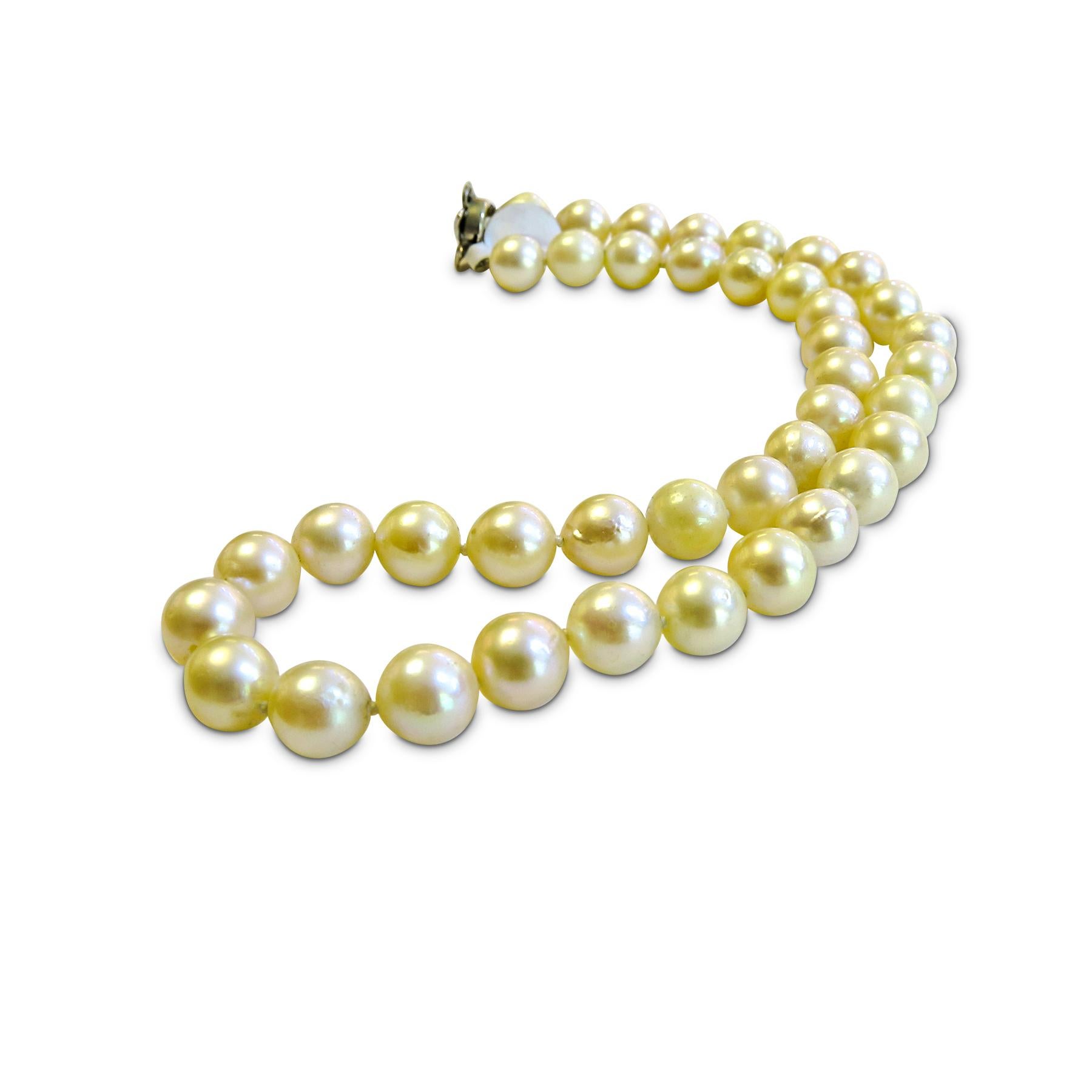 Cultured Pearl Antique Necklace with 14 Karat White Gold and Sapphire Brooch In Good Condition For Sale In Jackson Heights, NY