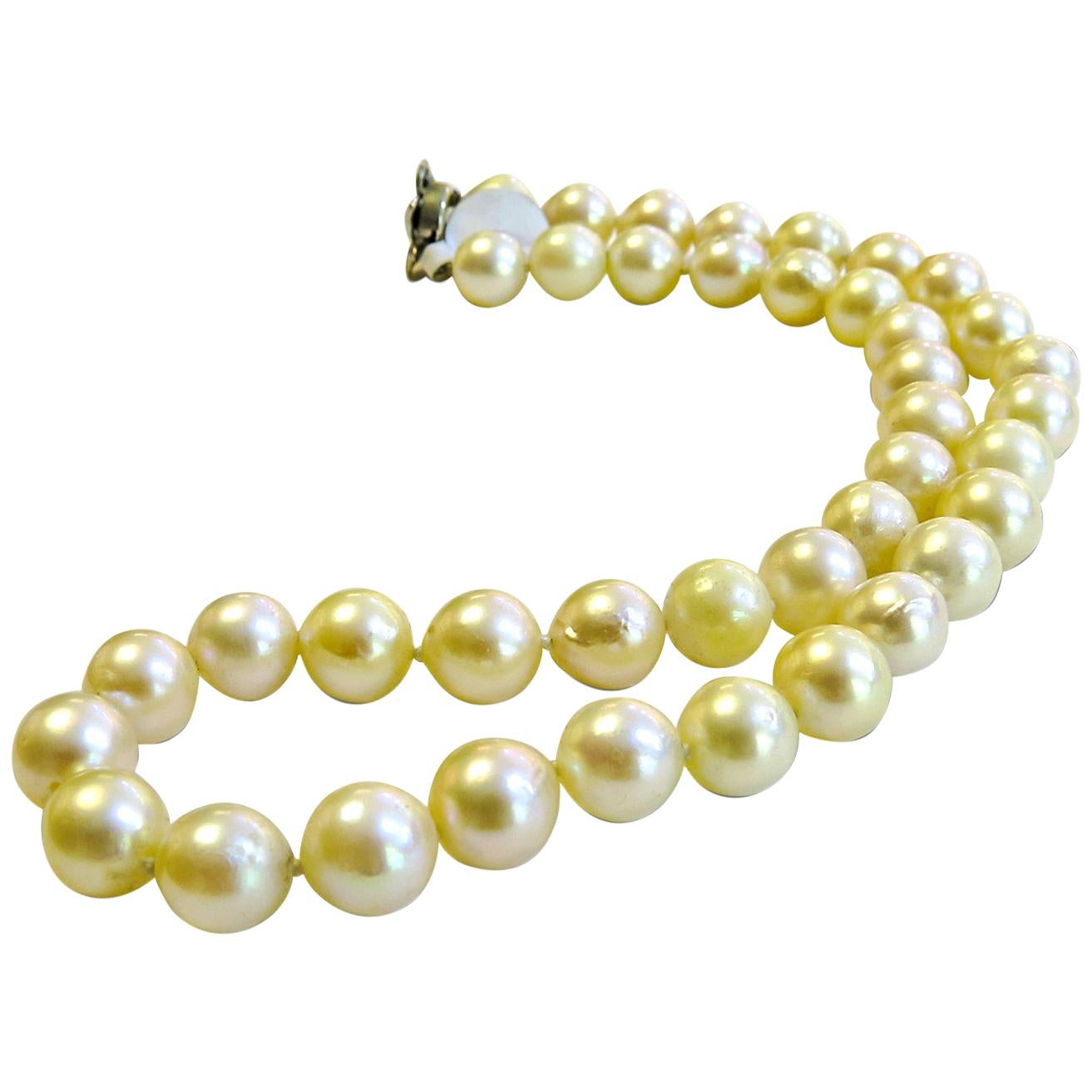 Cultured Pearl Antique Necklace with 14 Karat White Gold and Sapphire Brooch For Sale