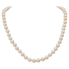 Cultured Pearl Necklace